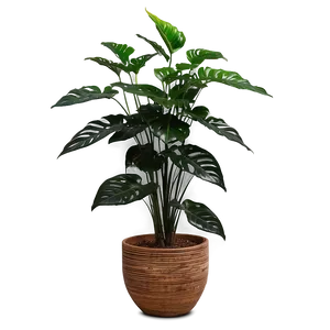 Large Floor Plant Png Qmo PNG Image