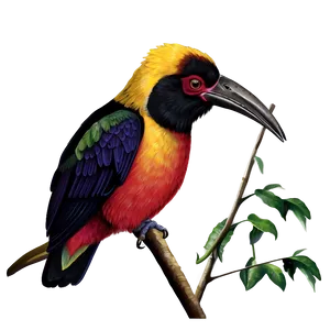 Latin America Wildlife Illustrations Png Ejp79 PNG Image