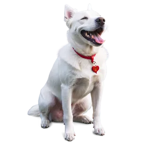 Laughing White Dog Png Oee17 PNG Image