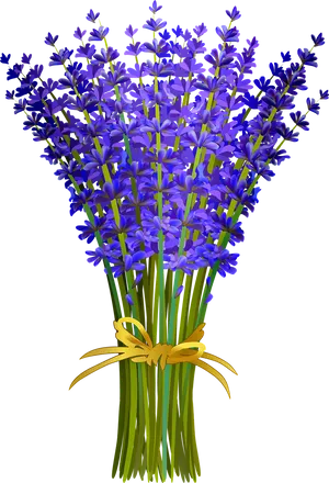 Lavender Bouquet Illustration PNG Image