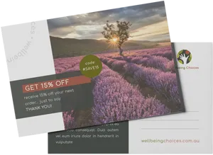 Lavender Field Promotional Materials PNG Image