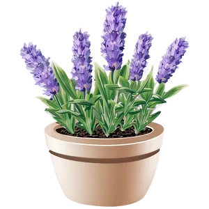 Lavender Herb Garden Png 06132024 PNG Image