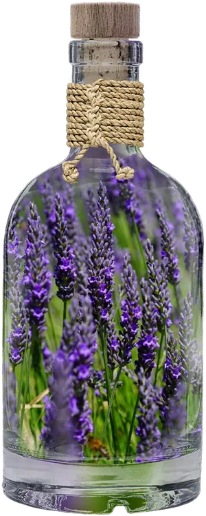 Lavender In Glass Bottle PNG Image