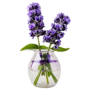 Lavender In Vase Png 7 PNG Image