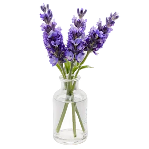 Lavender In Vase Png 98 PNG Image