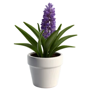 Lavender Plant In Pot Png Tqn16 PNG Image