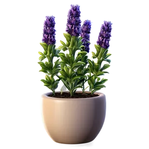 Lavender Plant In Pot Png Vjg PNG Image