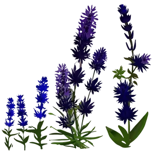 Lavender Plant Silhouette Png 94 PNG Image