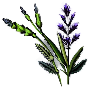 Lavender Plant Silhouette Png Otw PNG Image