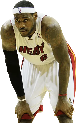 Le Bron James Miami Heat Game Stance PNG Image