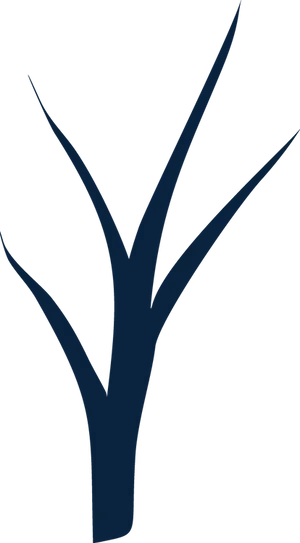 Leadership Concept Tree Growth PNG