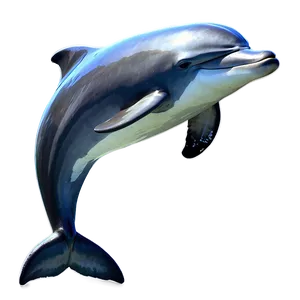 Leaping Dolphin PNG 87 PNG