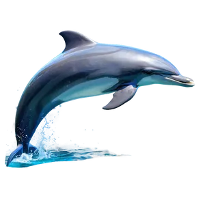 Leaping Dolphin PNG 88 PNG