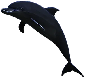 Leaping Dolphin Silhouette PNG Image