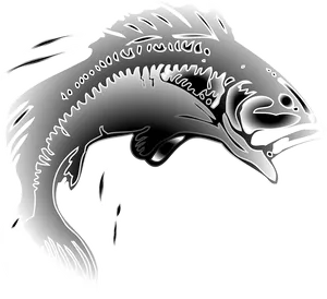 Leaping Fish Graphic PNG Image