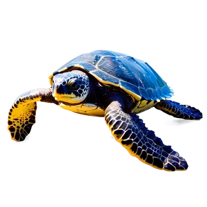 Leatherback Sea Turtle Png Vle PNG Image