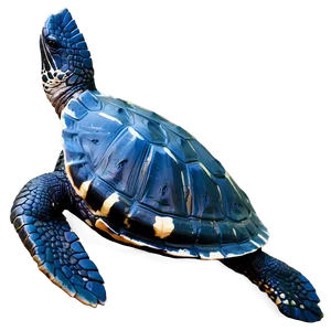 Leatherback Turtle In Natural Habitat Png Yac PNG Image