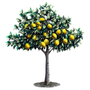 Lemon Orchard Tree Design Png Emq86 PNG Image