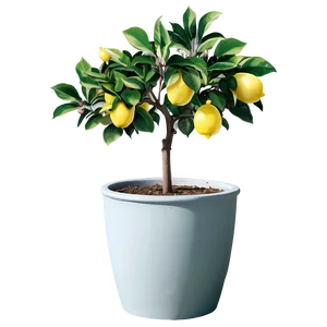 Lemon Tree In Pot Illustration Png Ceh72 PNG Image