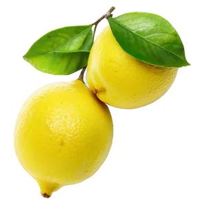 Lemons Branch Png 06122024 PNG Image