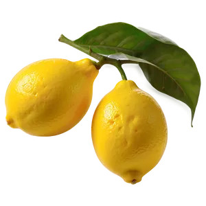 Lemons Garnish Png Mxm PNG Image