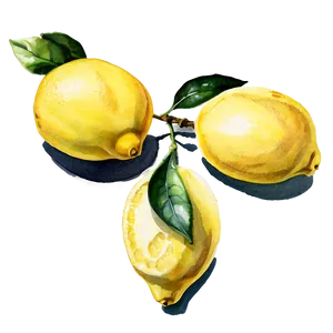 Lemons Watercolor Png Ssg29 PNG Image