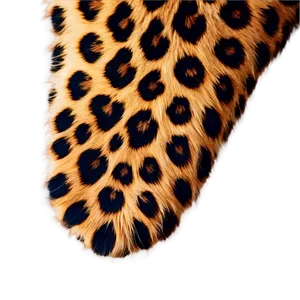 Leopard Fur Texture Png 11 PNG Image