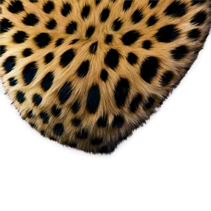 Leopard Fur Texture Png Roj PNG Image