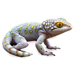 Leopard Gecko Png Eju PNG Image