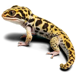 Leopard Gecko Png Vuh33 PNG Image