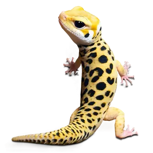 Leopard Gecko Shedding Png Fbn46 PNG Image