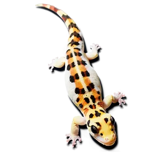 Leopard Gecko Tongue Out Png Xcl21 PNG Image