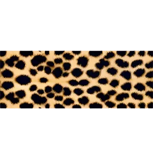 Leopard Pattern Png 78 PNG Image