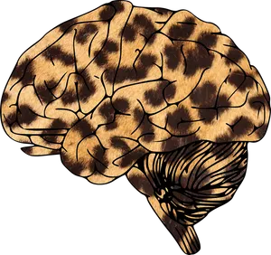 Leopard Print Brain Illustration PNG Image