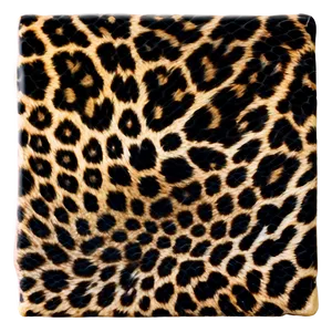 Leopard Spots B PNG Image