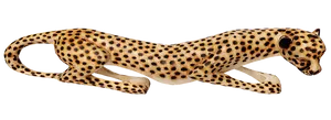 Leopardin Motion Black Background PNG Image