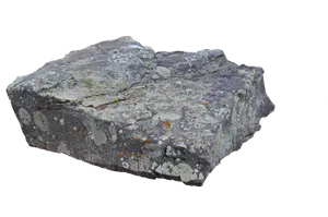 Lichen Covered Rock Isolated PNG Image