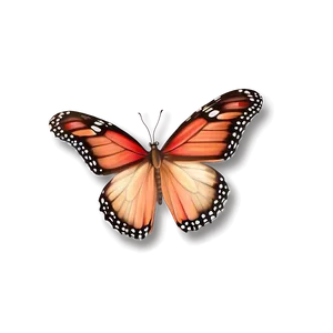 Lifelike 3d Butterfly Rendering Png 06292024 PNG Image