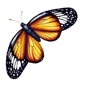 Lifelike Butterfly Png Amg PNG Image