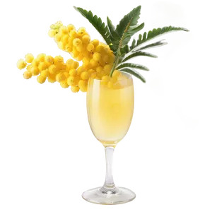 Light And Airy Mimosa Png Avh42 PNG Image