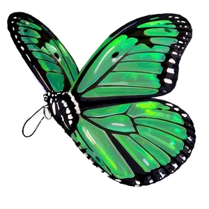 Light Green Butterfly Png 06202024 PNG Image