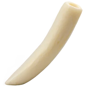 Light String Cheese Png 8 PNG Image