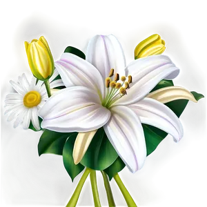 Lilies And Daisies Png Xum62 PNG Image