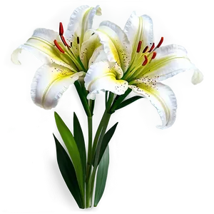 Lily Flower Arrangement Png 06272024 PNG Image