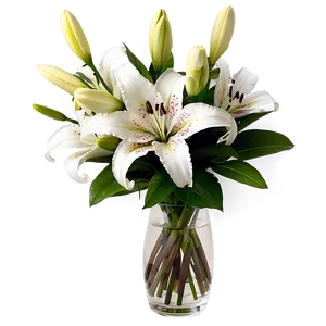 Lily Flower Arrangement Png 06272024 PNG Image