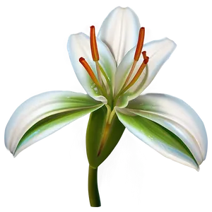 Lily Flower Petals Png 96 PNG Image