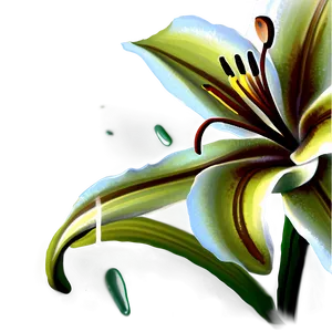 Lily Flower Png 14 PNG Image