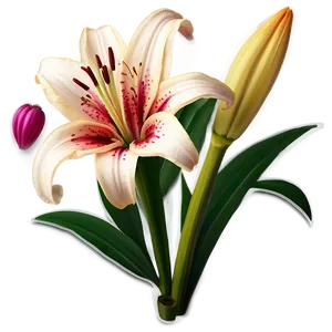 Lily Flower Sticker Png Kjo PNG Image