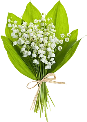 Lilyofthe Valley Bouquet PNG Image