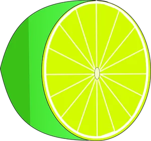 Lime Slice Vector Illustration PNG Image